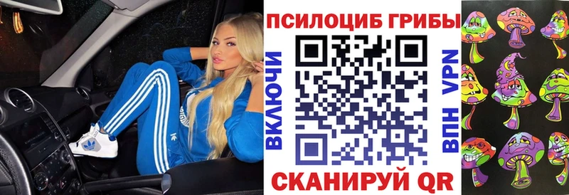 Псилоцибиновые грибы мицелий Балаково